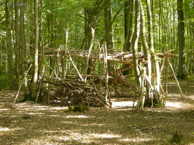 Cabane en branches dans les bois