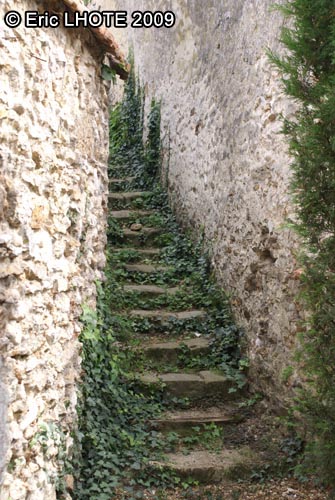 Escalier en pierres
