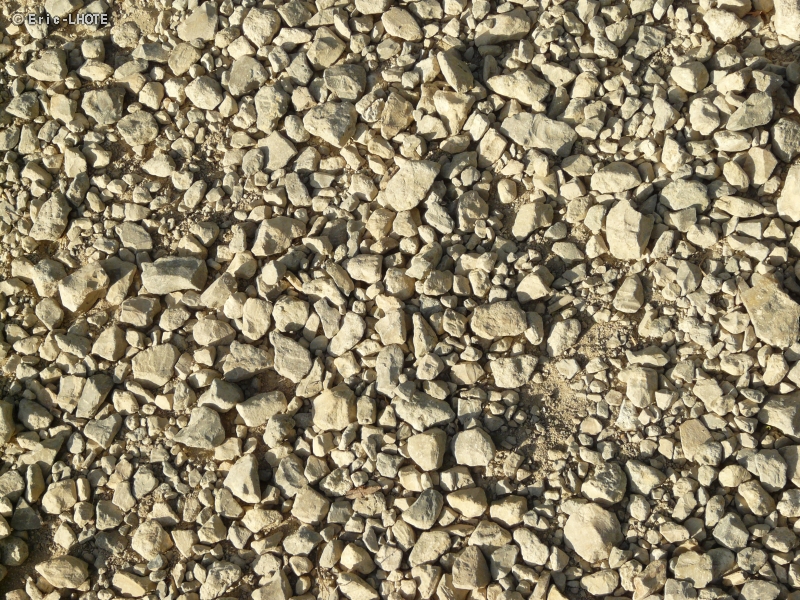 Grave calcaire