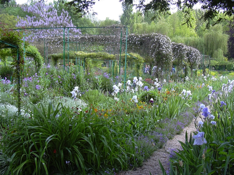 Jardin Claude Monet