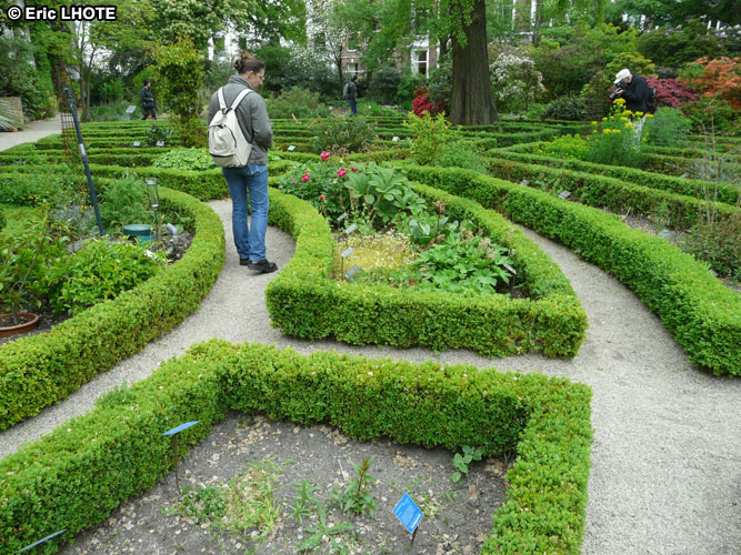 Jardin en labyrinthe de buis taillÃ©
