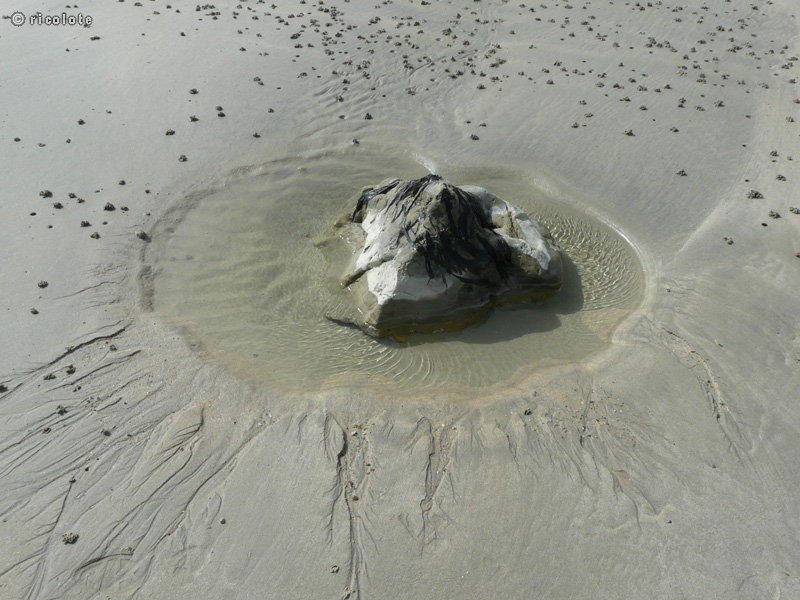 Rocher dans la sable