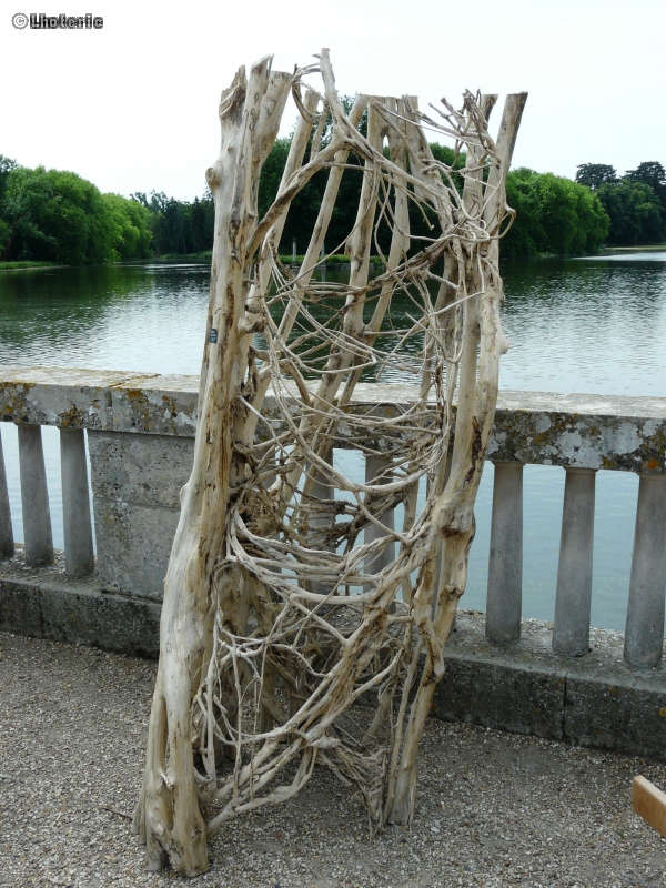 Sculpture de lianes