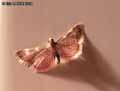chenilles-papillons-49.jpg
