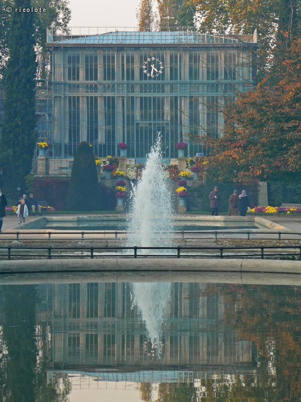 Jardin des plantes de Rouen