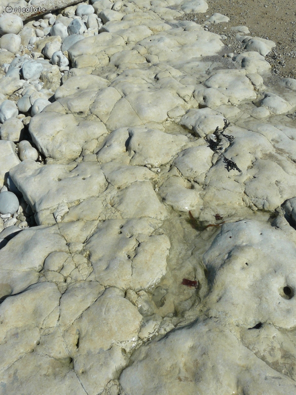Roche calcaire marine