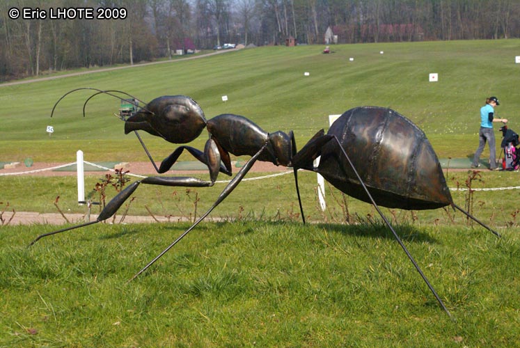 Scupture de fourmi gÃ©ante