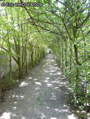 Tunnel vÃ©gÃ©tal