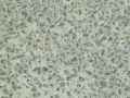 Beton-lave-a-gravillons-de-granit-concasses-20130709135615.jpg