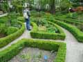 Jardin-en-labyrinthe-de-buis-taille-20120822165721.jpg