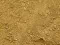 Terre-sableuse-ocre-20120822210712.jpg